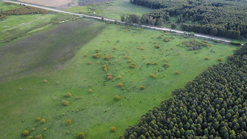 Imagen 12 de 16 de Campo En Concepción Del Uruguay - 72 Hectáreas