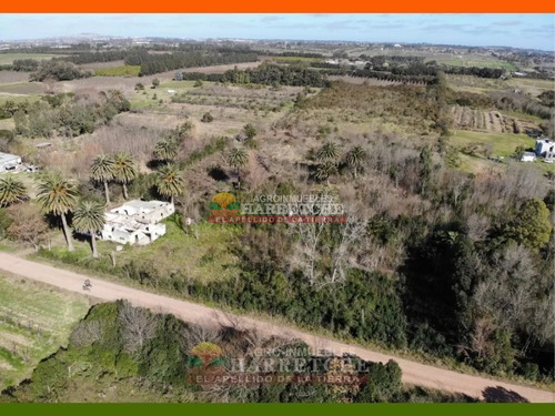 Chacra 3 Has En Melilla, Zona Uam, Cno Polvorin, Construcciones A Reciclar.