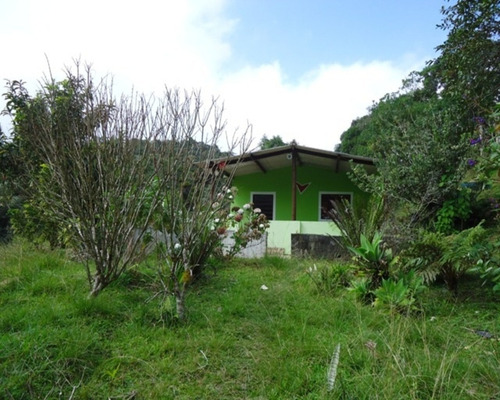 Imagem 12 de 13 de Sitio Em Juquitiba Sp; Sitio À Venda Juquitiba; - 251 - 32982557