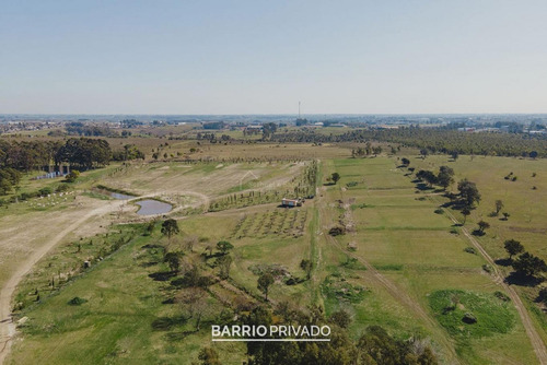 Imagen 6 de 10 de Venta Terreno Financiado En Los Olivos De Los Horneros