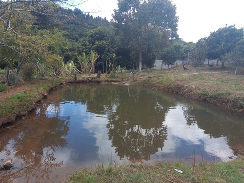 Imagem 10 de 24 de Chacara - Ch00005 - 69476392
