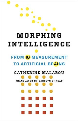Morphing Intelligence From Iq Measurement To Artificial Brai