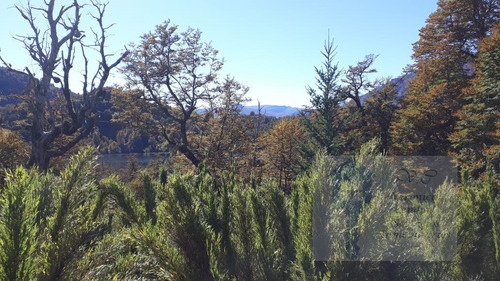 Imagen 1 de 5 de Vendo Lote En Lago Hermoso