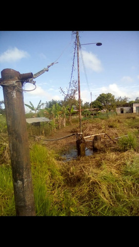 Imagen 8 de 10 de Se Vende Finca En Terragona Municipio Cedeño Ve02-1301ced-dced