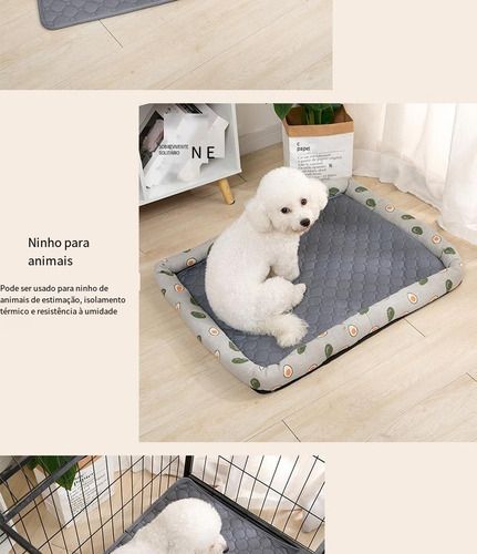 Tc Almohadilla For Orinar For Mascotas, Lavable, 023