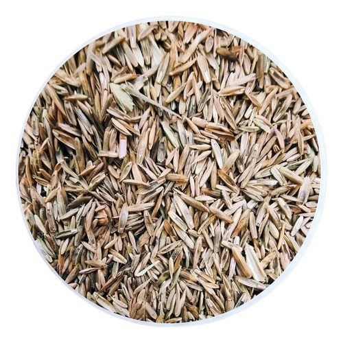Semilla De Pasto Pradera: Mezcla De Pastos Forrajeros (1 Kg)