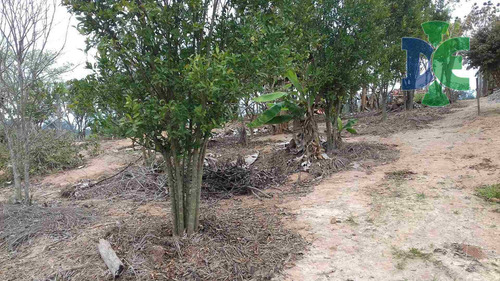Chácara Com 3 Dormitórios À Venda, 1060 M² Por R$ 400.000,00 - Estância Porto Velho - Jacareí/sp - Ch0009
