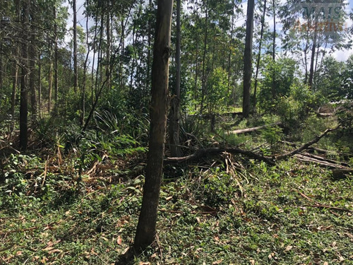 Imagem 12 de 15 de Chácara Para Venda Em Parobé - Cwvcr041_2-1122322