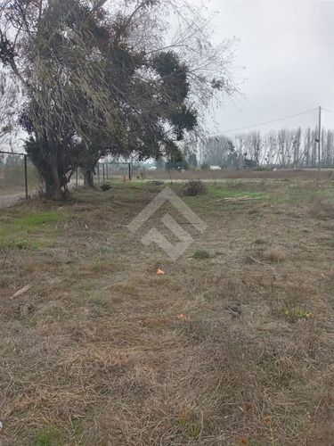 Agrícola En Venta En Linares