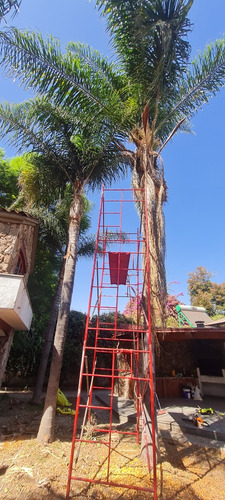 Construcción De Jardines Mantenimiento I Riegos Automáticos