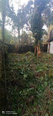 Imagem 5 de 14 de Chácara Em Itanhaém, Lote Com 3013 M² De Área Total