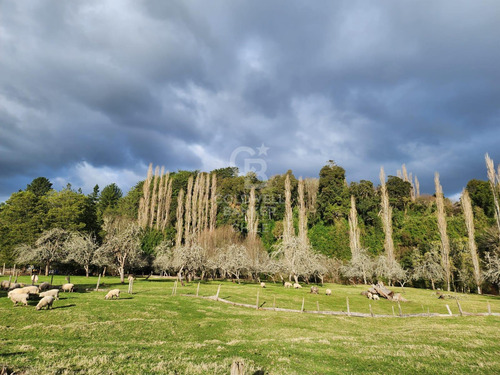 Cabaña Con Bosque Nativo Y Acceso A Río I Puerto Varas