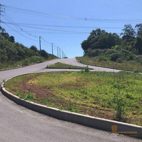 Imagem 7 de 11 de Terreno À Venda, 696 M² Por R$ 315.000,00 - Mariland - Caxias Do Sul/rs - Te0255