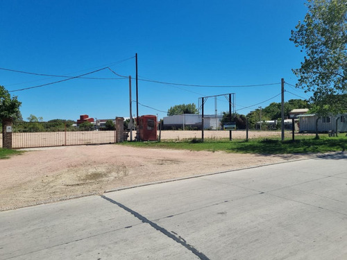 Imagen 2 de 26 de Depósito -camino Tomkinson Próximo Luis Batlle Berrescamino Tomkinson Próximo L. Batlle Berres, Predio De 5 Hectareas Y 1850 M2 De Deposito !!