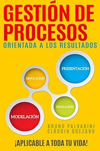 Libro: Gestión De Procesos Orientada A Los Resultados (spani