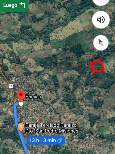 Campo 50 Hectareas San Pedro Paraiso Misiones