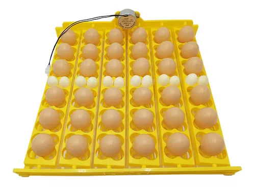 Bandeja giratória automática do turner do ovo 42 ovos 360 v 110v jogo do  teste padrão do rolo dos acessórios da incubadora dos ovos da bandeja do  rolo do ovo de 220 ° - AliExpress