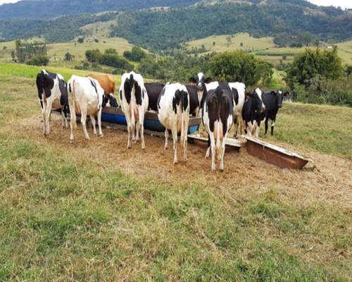 Excelente Sitio Com Haras De 36.000 M² À Venda Em Itupeva, Sp - St00004 - 34651579