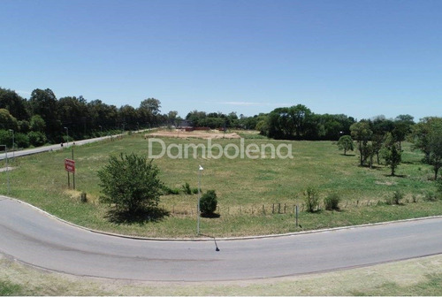 Imagen 3 de 14 de Terreno Fracción P7 En Venta O Permuta Colectora Acceso Oeste - Luján