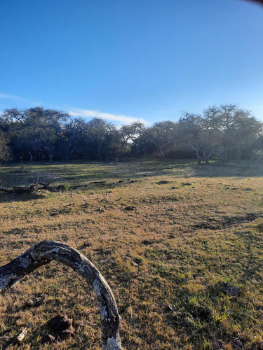 Campo - Costa Del Uruguay