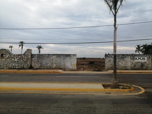 Imagen 3 de 10 de Terreno Comercial En Venta Los Mogotes Pie De La Cuesta