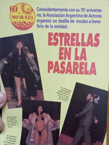 Láminas Centrales De La Revista Tv Guía Del Año 1987 , Argen (Usado)