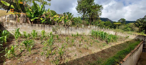 Imagem 3 de 12 de Chácara Para Venda Em Pedra Bela, Centro, 4 Dormitórios, 2 Banheiros - 84_1-2380852