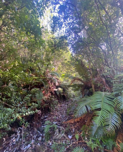 Sitio En Venta En Hualaihue