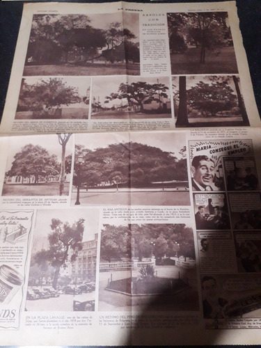 Diario La Prensa 13 4 1941 Árboles Buenos Aires 