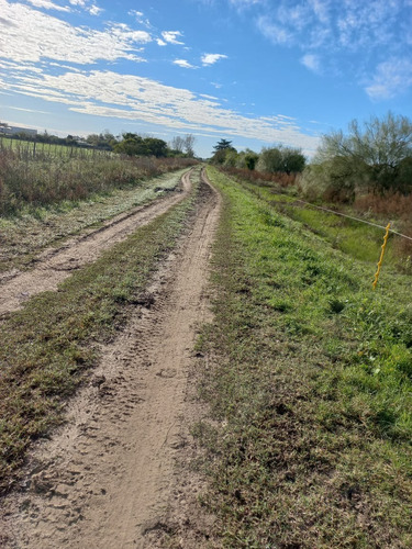 Venta De Dos Hectáreas Zona Campañas De Desierto Chascomus