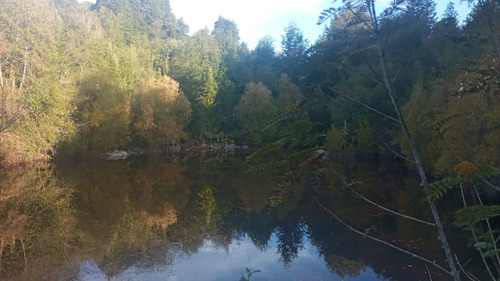 Terreno A 30 Minutos De Puerto Varas