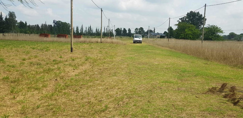 Imagen 4 de 6 de 2 Lotes En Excelente Ubicación Ideal Para Quinta En Brandsen
