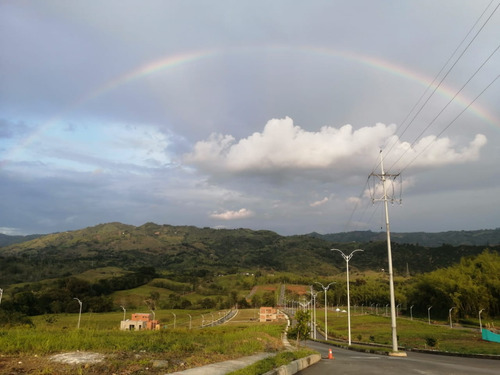 Venta Lote Virginia Y Viterbo, Caldas