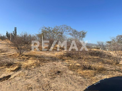 Lot 32 Aeropuerto Csl Palma Coco Plumoso, Cabo San Lucas, Mls #24-2359