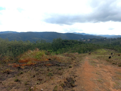 Imagem 6 de 11 de Lote/terreno Com Documentação Atualizada Em Cartório, 600m², Mairiporã-sp