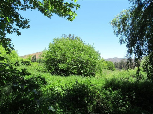 Imagen 15 de 16 de Sitio Con Acceso A Estero Puangue