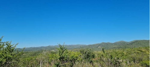 Imagen 11 de 29 de Venta Campo Falda Del Cañete-8,5 Has- Con Vista