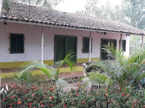 Imagen 16 de 27 de Finca En Venta En La Raya San Timoteo, Zulia