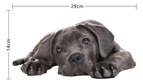 Pegatinas De Simulación 3d Para Perros Y Coches, Estilo 4, P