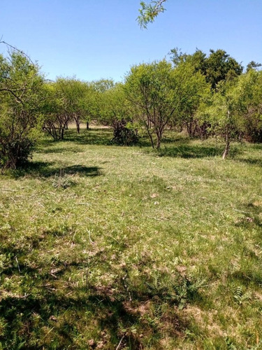 Terreno De 1 Hectárea En Gualeguaychú, Zona Urquiza Al Oeste.