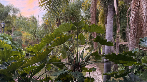 Espectacular Casona En El Delta Con Playa Privada Y Parque