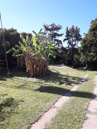Imagen 7 de 9 de Se Venden Lotes En El Jaguel, Juntos O Separados.