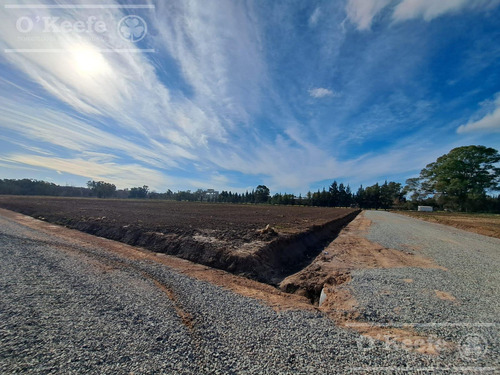 Lotes En Venta En El Pato - Berazategui - Terrenos Desde 295 M2
