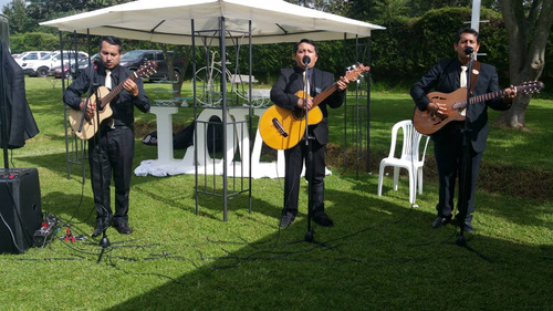 Imagen 2 de 3 de Tríos En Quito: Rumba Tres