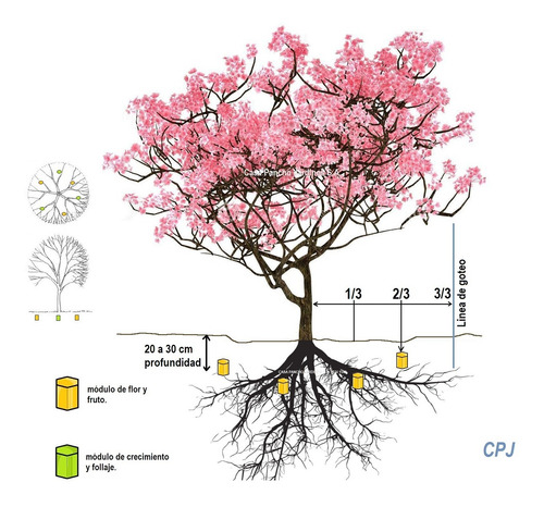 Módulos Verdes Abono Para Arboles Ornamentales Flores 25 Pza | Envío gratis Módulos Verdes Abono Para Arboles Ornamentales Flores 25 Pza | Envío gratis