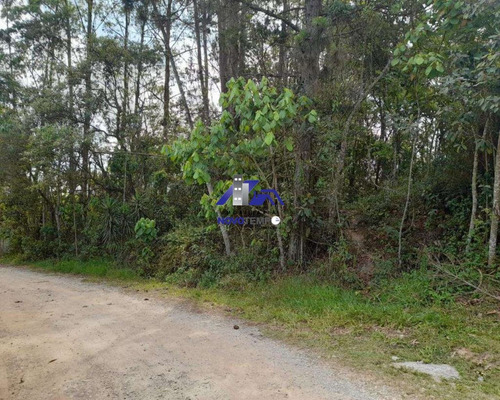 Imagem 7 de 7 de Terreno A Venda Em Embu Com 1550m² - Te00243 - 70352302
