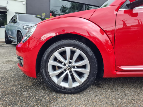 Beetle 2015