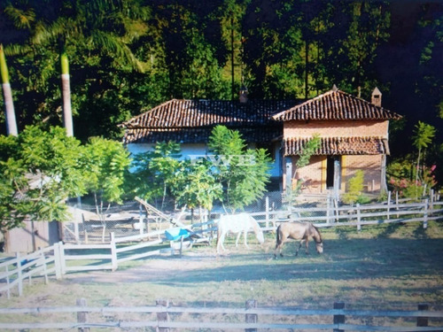 Imagem 28 de 28 de Fazenda Em Rio Preto Minas Gerais - 2044007423 - 67629041
