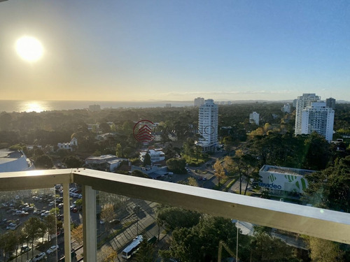Imagen 4 de 21 de A Pasos Del Shopping! - Punta Del Este Roosevelt