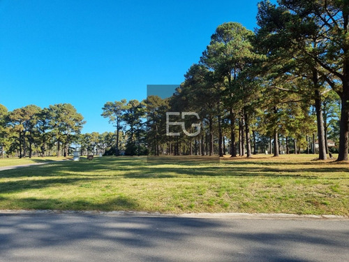 Imagen 13 de 16 de Lotes 1500 M2 Barrio Pinares Exaltación De La Cruz
